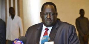 وفد رفيع المستوى من جنوب السودان بالقاهرة للتباحث حول المشروعات التنموية - 1 - سيناء الإخبارية