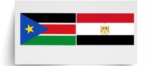 وفد رفيع المستوى من جنوب السودان بالقاهرة للتباحث حول المشروعات التنموية - 5 - سيناء الإخبارية