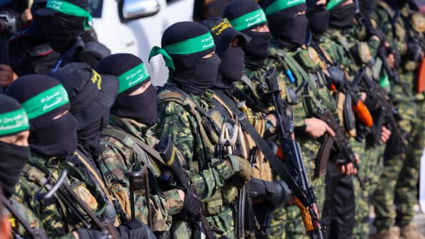 حماس تسلم المجندة الإسرائيلية "آجام بيرجر" للصليب الأحمر في إطار اتفاق وقف إطلاق النار - 3 - سيناء الإخبارية