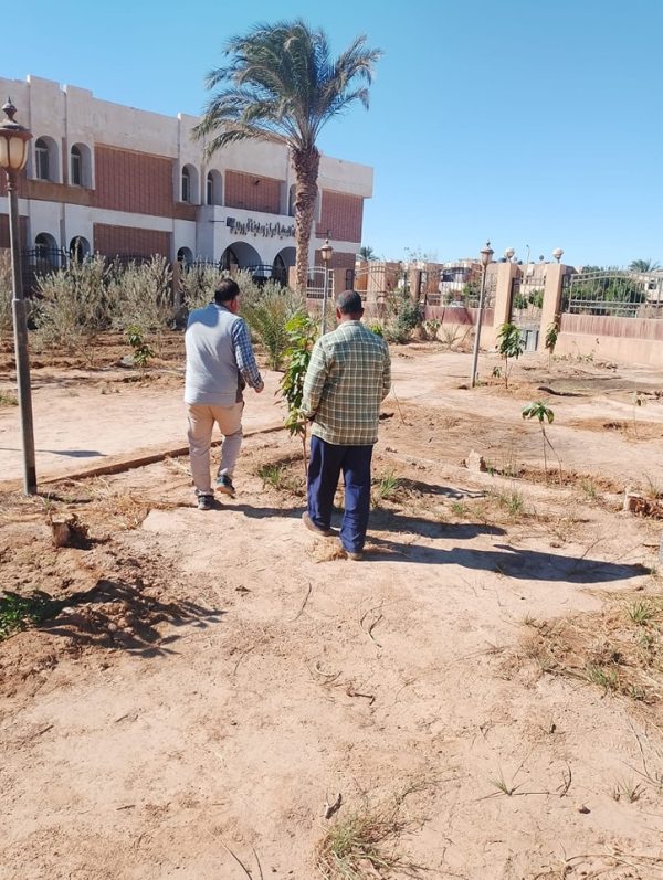 جولة تفقدية للإدارة الزراعية في شرم الشيخ لحصر الزراعات وتقدير احتياجات المياه - 1 - سيناء الإخبارية