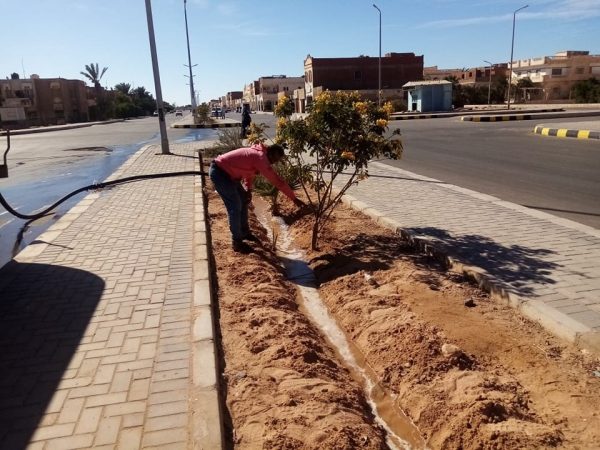 جولة تفقدية للإدارة الزراعية في شرم الشيخ لحصر الزراعات وتقدير احتياجات المياه - 3 - سيناء الإخبارية