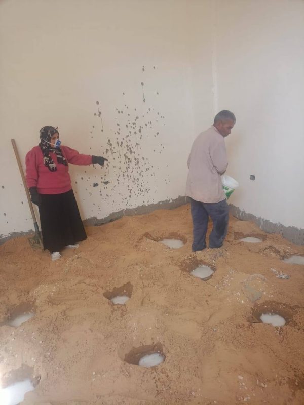 مديرية الزراعة بشمال سيناء تُنفذ حملة رش وقائي ضد النمل الأبيض للمدينة الجامعية بالعريش - 21 - سيناء الإخبارية