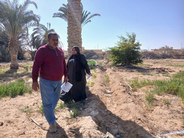 مديرية الزراعة بجنوب سيناء تجري معاينات لتقنين أوضاع المزارعين في قرية الجبيل - 5 - سيناء الإخبارية