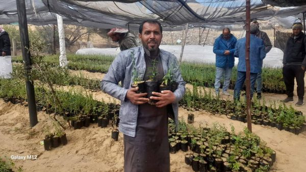 نائب محافظ شمال سيناء يغرس أول شجرة في الشيخ زويد ضمن مبادرة "100 مليون شجرة" - 5 - سيناء الإخبارية