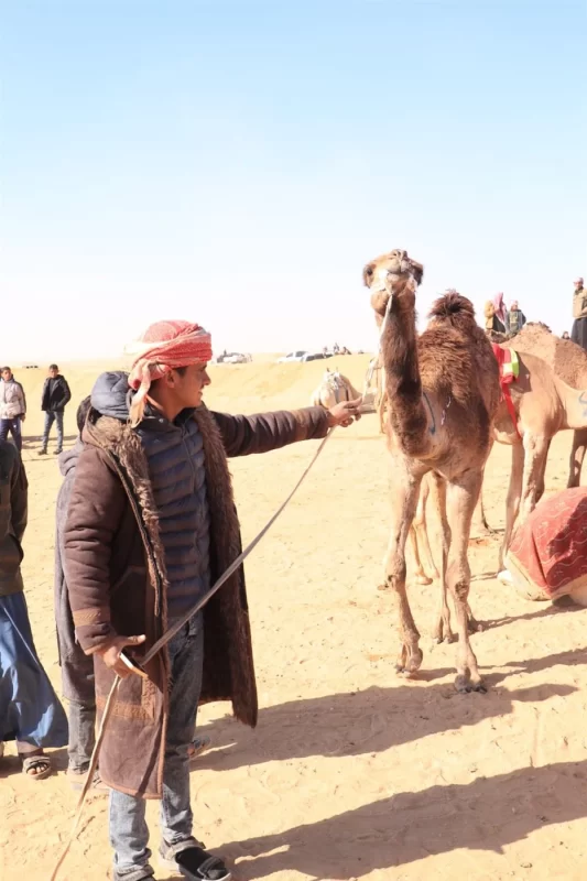 انطلاق فعاليات الدورة العشرين لمهرجان الإسماعيلية للهجن بمشاركة عربية واسعة..صور - 3 - سيناء الإخبارية