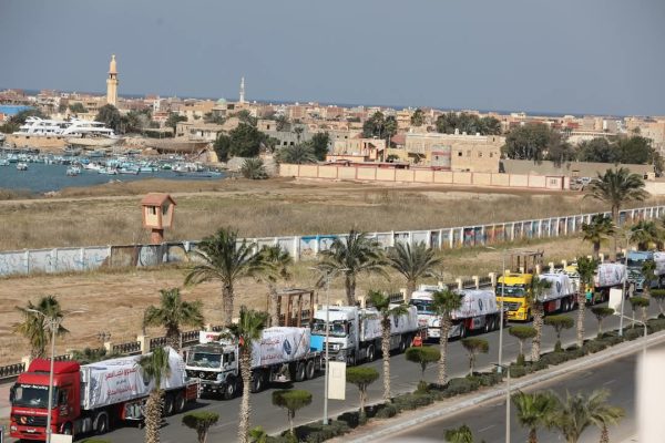 أكبر قافلة مساعدات غذائية تنطلق من جنوب سيناء عبر معبر رفح لأهالي غزة.. صور - 5 - سيناء الإخبارية
