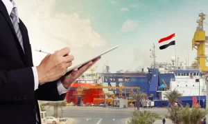 الحوافز الاستثمارية والتسهيلات التي تقدمها الحكومة تلعب دورًا حاسمًا في تعزيز مناخ الاستثمار - 3 - سيناء الإخبارية