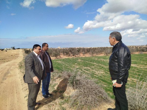 وكيل الزراعة بشمال سيناء يتفقد محاصيل الزيتون والشعير والتين بالشيخ زويد - 29 - سيناء الإخبارية