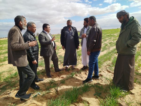 وكيل الزراعة بشمال سيناء يتفقد محاصيل الزيتون والشعير والتين بالشيخ زويد - 25 - سيناء الإخبارية
