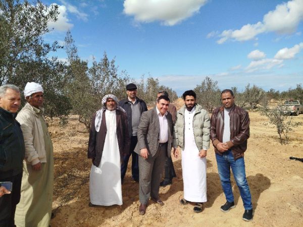 وكيل الزراعة بشمال سيناء يتفقد محاصيل الزيتون والشعير والتين بالشيخ زويد - 39 - سيناء الإخبارية