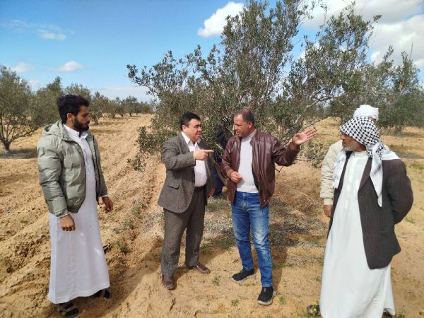 وكيل الزراعة بشمال سيناء يتفقد محاصيل الزيتون والشعير والتين بالشيخ زويد - 37 - سيناء الإخبارية