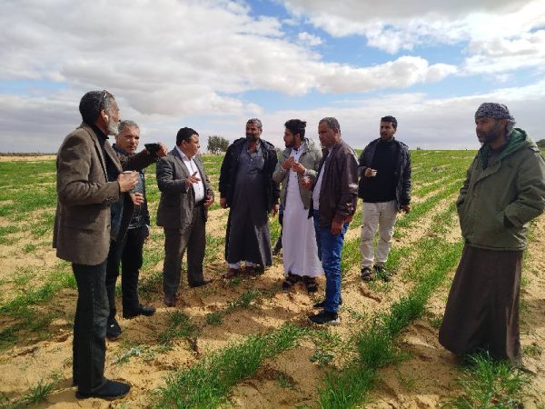 وكيل الزراعة بشمال سيناء يتفقد محاصيل الزيتون والشعير والتين بالشيخ زويد - 35 - سيناء الإخبارية
