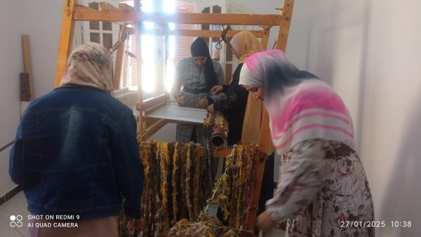 جنوب سيناء تختتم ورش تدريب النول اليدوي لإحياء التراث البدوي وتمكين المرأة - 1 - سيناء الإخبارية