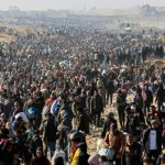 معارضة أمريكية واسعة لخطة ترامب بشأن غزة واستطلاعات تكشف رفضًا شعبيًا كبيرًا - 5 - سيناء الإخبارية