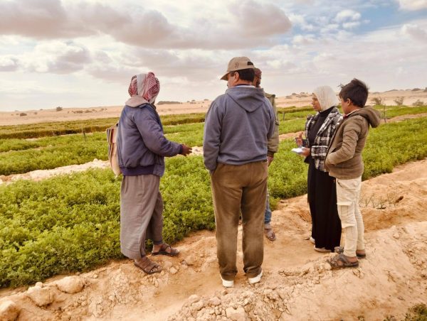 إدارة رفح الزراعية تواصل جهودها في تطوير القطاع الزراعي بشمال سيناء من خلال حصر جميع المحاصيل - 5 - سيناء الإخبارية