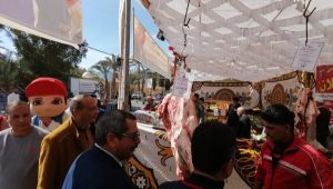 محافظ جنوب سيناء يوجه بتوسيع تنظيم سوق اليوم الواحد بمدن المحافظة - 9 - سيناء الإخبارية