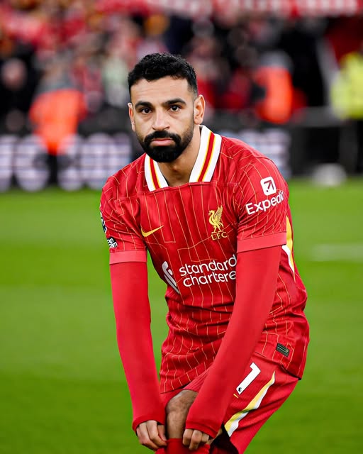 محمد صلاح على أعتاب رقم تاريخي جديد أمام توتنهام في كأس كاراباو - 1 - سيناء الإخبارية