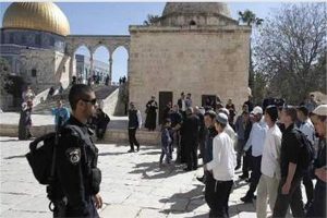 مستوطنون يقتحمون باحات المسجد الأقصى بالقدس بحماية شرطة الاحتلال الإسرائيلي - 1 - سيناء الإخبارية
