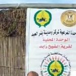 ندوة توعوية عن زواج القاصرات وأحكامه في الشريعة الإسلامية ببئر العبد بشمال سيناء - 7 - سيناء الإخبارية