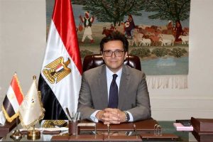 وزير الثقافة : مصر تولي اهتمامًا خاصًا بتعزيز التعاون مع الدول الإفريقية الشقيقة بمختلف المجالات الثقافية - 1 - سيناء الإخبارية