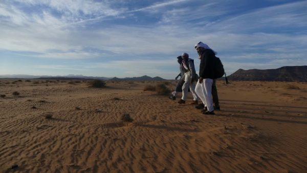 جنوب سيناء .. جنة طبيعية تجمع بين الجبال الذهبية والسواحل الفيروزية والرمال البيضاء.. صور - 19 - سيناء الإخبارية