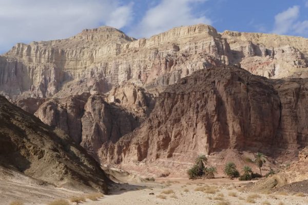جنوب سيناء .. جنة طبيعية تجمع بين الجبال الذهبية والسواحل الفيروزية والرمال البيضاء.. صور - 13 - سيناء الإخبارية