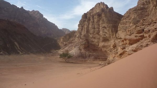 جنوب سيناء .. جنة طبيعية تجمع بين الجبال الذهبية والسواحل الفيروزية والرمال البيضاء.. صور - 7 - سيناء الإخبارية