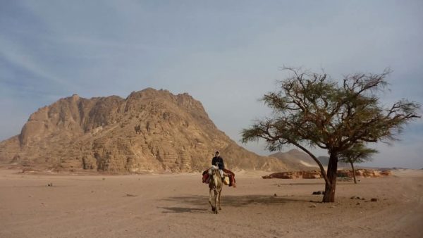 جنوب سيناء .. جنة طبيعية تجمع بين الجبال الذهبية والسواحل الفيروزية والرمال البيضاء.. صور - 5 - سيناء الإخبارية