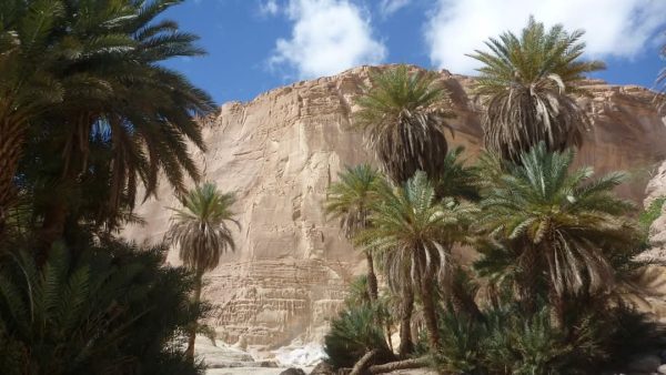 جنوب سيناء .. جنة طبيعية تجمع بين الجبال الذهبية والسواحل الفيروزية والرمال البيضاء.. صور - 1 - سيناء الإخبارية