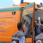 إصابة 9 أشخاص في مشاجرة بين عائلتين في قرية الروضة ببئر العبد - 1 - سيناء الإخبارية