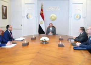 الرئيس السيسي يتابع تنفيذ مبادرة "الرواد الرقميون" لدعم التحول الرقمي - 3 - سيناء الإخبارية