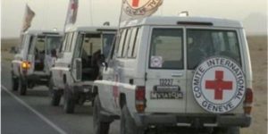 الصليب الأحمر يحذر من تفاقم الأزمة الإنسانية في غزة ويدعو لتسهيل دخول المساعدات - 1 - سيناء الإخبارية