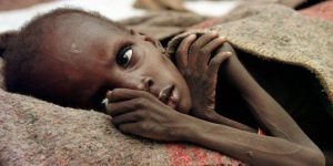 المجاعة تهدد السودان وغزة وسوريا..كارثة إنسانية تلوح في الأفق - 3 - سيناء الإخبارية
