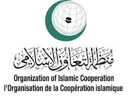 رابطة العالم الإسلامي تدين قرار الاحتلال بوقف دخول المساعدات الإنسانية إلى غزة - 5 - سيناء الإخبارية