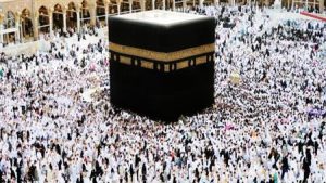 غرفة السياحة تطالب الخطوط السعودية بإعفاء الشركات المصرية من الغرامات - 3 - سيناء الإخبارية
