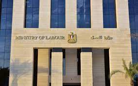 مديرية العمل بجنوب سيناء تنظم قافلة طبية لتوقيع الكشف الطبي على العمالة غير المنتظمة - 3 - سيناء الإخبارية