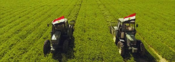 قلة زراعية غير مسبوقة.. جهاز "مستقبل مصر" يستهدف استصلاح 4.5 مليون فدان وإنشاء 300 صومعة غلال بحلول 2027 - 1 - سيناء الإخبارية