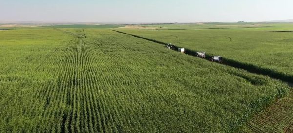 قلة زراعية غير مسبوقة.. جهاز "مستقبل مصر" يستهدف استصلاح 4.5 مليون فدان وإنشاء 300 صومعة غلال بحلول 2027 - 5 - سيناء الإخبارية