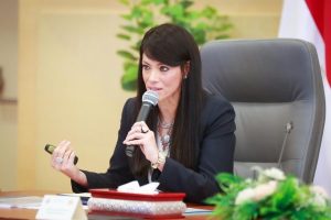 وزير الصحة يترأس اجتماع المجموعة الوزارية للتنمية البشرية لمناقشة عدداً من المحاور المشتركة - 5 - سيناء الإخبارية