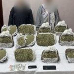 الداخلية: استمرارية الحملات الأمنية ضد المخدرات في جنوب سيناء - 1 - سيناء الإخبارية