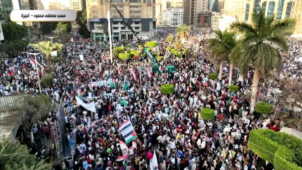 مصر تنتفض في أول أيام عيد الفطر دعمًا لفلسطين ورفضًا لتهجير أهلها - 3 - سيناء الإخبارية