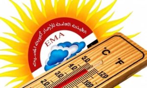 الأرصاد الجوية تكشف عن حالة الطقس المتوقعة غدًا الاثنين - 3 - سيناء الإخبارية