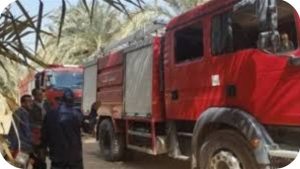 السيطرة على حريق جديد في زراعات النخيل ببئر العبد - 1 - سيناء الإخبارية