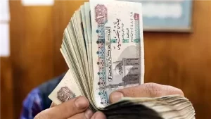 المالية تكشف جدول صرف مرتبات أبريل ومايو 2025: مواعيد مبكرة وتيسيرات لتجنب الزحام - 1 - سيناء الإخبارية