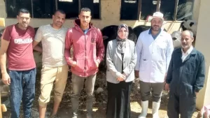 تحصين أكثر من نصف القطعان ضد الحمى القلاعية والوادي المتصدع - 5 - سيناء الإخبارية