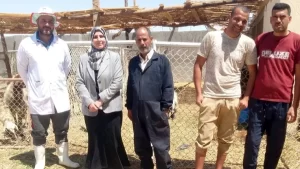 تحصين أكثر من نصف القطعان ضد الحمى القلاعية والوادي المتصدع - 7 - سيناء الإخبارية
