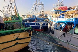 حظر الصيد في خليجي السويس والعقبة يبدأ منتصف أبريل لزيادة استدامة الثروات السمكية بجنوب سيناء - 5 - سيناء الإخبارية