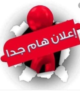 شباب شمال سيناء على موعد مع الذكاء الاصطناعي.. ورشة تدريبية بالتعاون مع مايكروسوفت - 1 - سيناء الإخبارية