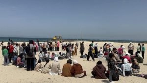 شمال سيناء تحتفل بفعاليات أولمبياد المحافظات الحدودية وأنشطة بيئية وترفيهية مبهجة للنشء - 11 - سيناء الإخبارية