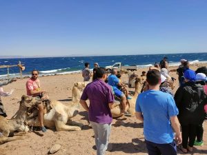 فعاليات معسكر "يلا كامب" في جنوب سيناء تواصل أنشطتها بمشاركة 60 شابًا وفتاة - 3 - سيناء الإخبارية